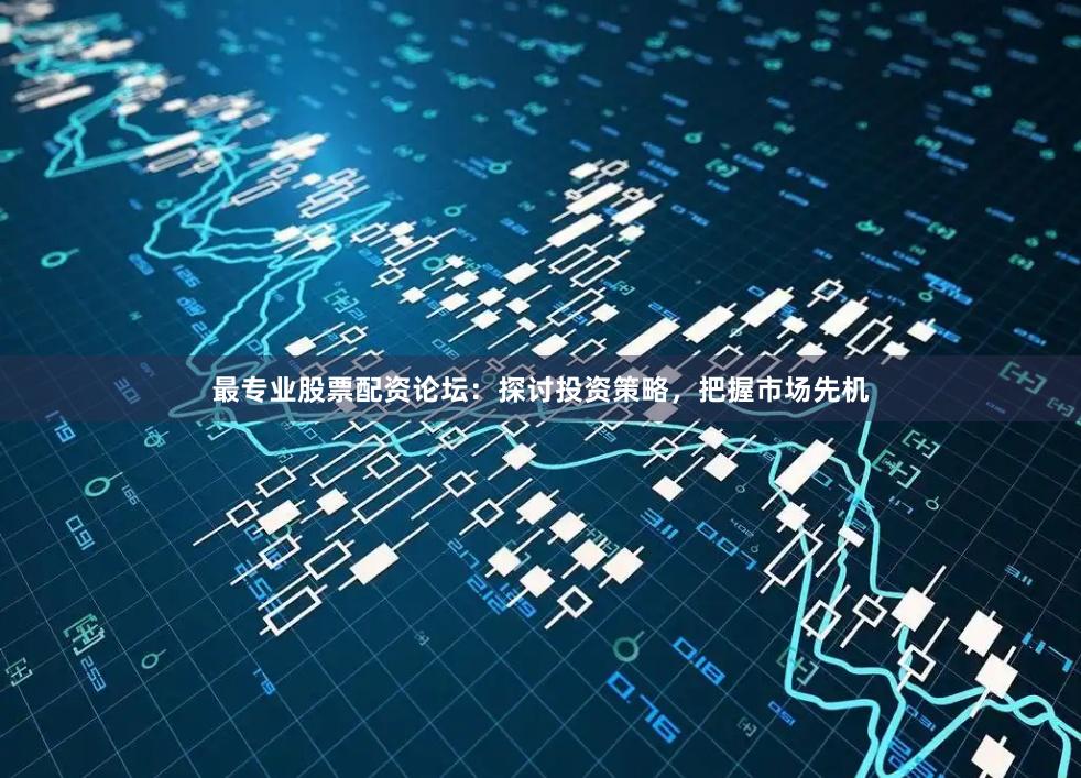 最专业股票配资论坛：探讨投资策略，把握市场先机