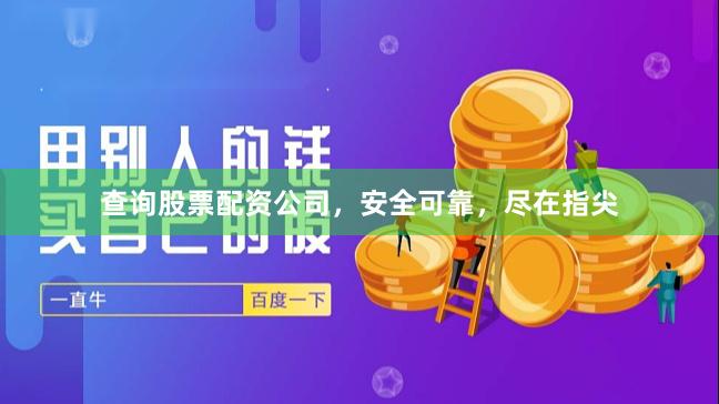 查询股票配资公司，安全可靠，尽在指尖